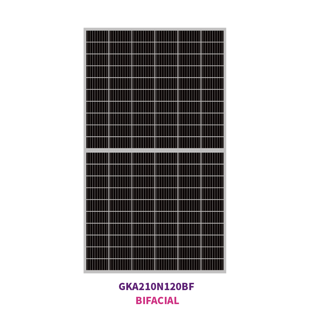 210 mm N-TYPE mono 120 medias células solares 645W